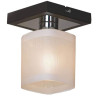 Потолочный светильник Lussole Costanzo LSL-9007-01 - Потолочный светильник Lussole Costanzo LSL-9007-01