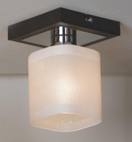 - Потолочный светильник Lussole Costanzo LSL-9007-01