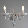 Бра Divinare Pallada 6004/03 AP-2 - Бра Divinare Pallada 6004/03 AP-2