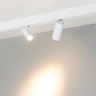 Светильник MAG-ORIENT-SPOT-R35-6W Warm3000 (WH, 24 deg, 48V, DALI) (Arlight, IP20 Металл, 5 лет) - Светильник MAG-ORIENT-SPOT-R35-6W Warm3000 (WH, 24 deg, 48V, DALI) (Arlight, IP20 Металл, 5 лет)