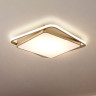 Потолочный светодиодный светильник Freya Yaku FR10026CL-L93G - Потолочный светодиодный светильник Freya Yaku FR10026CL-L93G