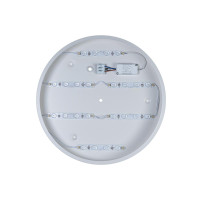  - Потолочный светодиодный светильник Loft IT Axel 10003/24 white