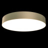 Потолочный светодиодный светильник Maytoni Technical Zon C032CL-L48MG4K - Потолочный светодиодный светильник Maytoni Technical Zon C032CL-L48MG4K