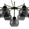 Подвесная люстра Indigo Grappoli 11029/9P Black V000217 Подвесная люстра Indigo Grappoli 11029/9P Black V000217 - Подвесная люстра Indigo Grappoli 11029/9P Black V000217