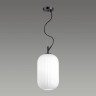 Подвесной светильник Odeon Light Roofi 4751/1 - Подвесной светильник Odeon Light Roofi 4751/1