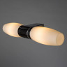 Подсветка для зеркал Arte Lamp Aqua A1209AP-2CC - Подсветка для зеркал Arte Lamp Aqua A1209AP-2CC
