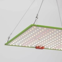  - Прожектор светодиодный для растений ЭРА 50W 1310K Fito-80W-Led-QB Б0053285