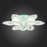 Потолочная светодиодная люстра Evoled Seteko SLE501352-09RGB - Потолочная светодиодная люстра Evoled Seteko SLE501352-09RGB