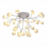 Потолочная люстра Evoluce Avola SLE250102-27 - Потолочная люстра Evoluce Avola SLE250102-27