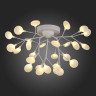 Потолочная люстра Evoluce Avola SLE250102-27 - Потолочная люстра Evoluce Avola SLE250102-27