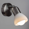Спот Arte Lamp A3115AP-1SS - Спот Arte Lamp A3115AP-1SS
