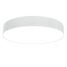 Потолочный светодиодный светильник Maytoni Technical Zon C032CL-L48W3K - Потолочный светодиодный светильник Maytoni Technical Zon C032CL-L48W3K