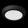 Потолочный светодиодный светильник Lightstar Urbano 216972 - Потолочный светодиодный светильник Lightstar Urbano 216972