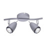Спот Arte Lamp Regista A1966AP-2GY - Спот Arte Lamp Regista A1966AP-2GY