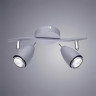 Спот Arte Lamp Regista A1966AP-2GY - Спот Arte Lamp Regista A1966AP-2GY