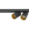 Светодиодный спот Lumien Hall Кайл 8002/2W-BK-GD - Светодиодный спот Lumien Hall Кайл 8002/2W-BK-GD