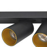 Светодиодный спот Lumien Hall Кайл 8002/2W-BK-GD - Светодиодный спот Lumien Hall Кайл 8002/2W-BK-GD