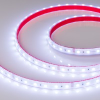  - Лента RTW 2-5000PS-50m 24V RGB 2x (5060, 60 LED/m, LUX) (Arlight, 14.4 Вт/м, IP67)