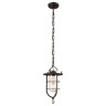 Подвесной светильник Loft IT Loft1141 - Подвесной светильник Loft IT Loft1141