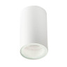 Потолочный светильник Italline Danny PL IP white - Потолочный светильник Italline Danny PL IP white