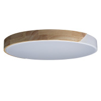  - Потолочный светодиодный светильник Loft IT Axel 10004/36 white