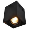 Потолочный светильник Arte Lamp Cardani A5942PL-1BK - Потолочный светильник Arte Lamp Cardani A5942PL-1BK