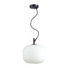 Подвесной светильник Odeon Light Roofi 4753/1 - Подвесной светильник Odeon Light Roofi 4753/1