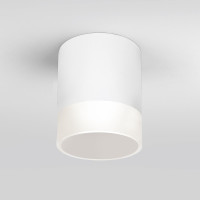  - Уличный светодиодный светильник Elektrostandard Light Led 35140/H белый 4690389177958
