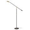 Торшер Odeon Light Denzel 4321/20FL - Торшер Odeon Light Denzel 4321/20FL