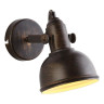 Спот Arte Lamp Martin A5213AP-1BR - Спот Arte Lamp Martin A5213AP-1BR