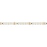 Лента RT 2-5000 24V Warm3000 2x (3528, 600 LED, LUX) (Arlight, 9.6 Вт/м, IP20) - Лента RT 2-5000 24V Warm3000 2x (3528, 600 LED, LUX) (Arlight, 9.6 Вт/м, IP20)