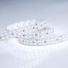 Лента RT 2-5000 24V Cool 8K 2x2 (3528, 1200 LED, LUX) (Arlight, 19.2 Вт/м, IP20) - Лента RT 2-5000 24V Cool 8K 2x2 (3528, 1200 LED, LUX) (Arlight, 19.2 Вт/м, IP20)