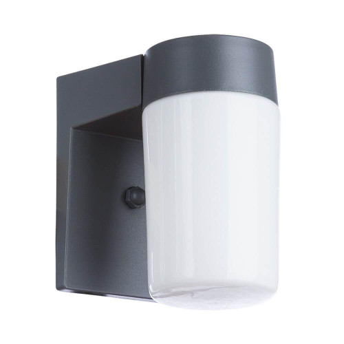 Уличный настенный светильник Arte Lamp Spasso A8058AL-1GY 