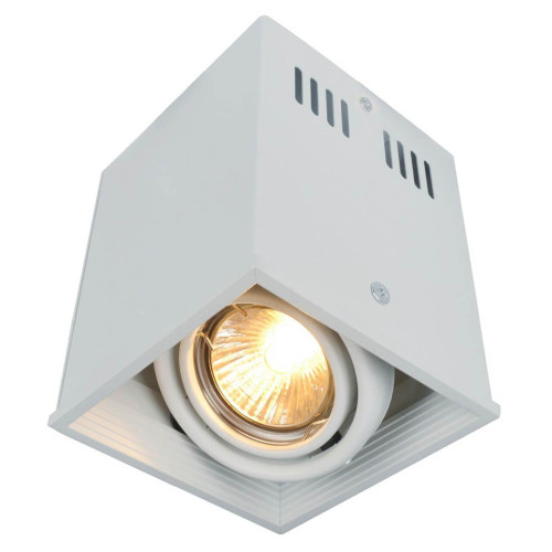 Потолочный светильник Arte Lamp Cardani A5942PL-1WH 