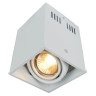 Потолочный светильник Arte Lamp Cardani A5942PL-1WH - Потолочный светильник Arte Lamp Cardani A5942PL-1WH