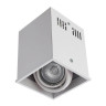 Потолочный светильник Arte Lamp Cardani A5942PL-1WH - Потолочный светильник Arte Lamp Cardani A5942PL-1WH