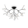 Потолочная люстра Freya Florencia FR5049CL-36B - Потолочная люстра Freya Florencia FR5049CL-36B
