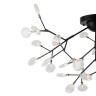 Потолочная люстра Freya Florencia FR5049CL-36B - Потолочная люстра Freya Florencia FR5049CL-36B