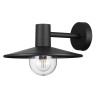 Уличный настенный светильник Odeon Light Furcadia 4833/1W - Уличный настенный светильник Odeon Light Furcadia 4833/1W