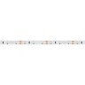 Лента RT 2-5000 12V Day4000 (3528, 300 LED, CRI98) (Arlight, 4.8 Вт/м, IP20) - Лента RT 2-5000 12V Day4000 (3528, 300 LED, CRI98) (Arlight, 4.8 Вт/м, IP20)