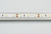  - Лента RT 2-5000 12V Day4000 (3528, 300 LED, CRI98) (Arlight, 4.8 Вт/м, IP20)