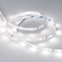  - Лента RT 6-5000 12V Day (2835, 150 LED, PRO) (Arlight, 6 Вт/м, IP20)