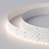 Лента RT 2-2500 24V Day4000 4x2 (2835, 700 LED, LUX) (Arlight, 30 Вт/м, IP20) - Лента RT 2-2500 24V Day4000 4x2 (2835, 700 LED, LUX) (Arlight, 30 Вт/м, IP20)