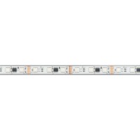  - Лента герметичная DMX-PS-B60-12mm 12V RGB-PX3 (14 W/m, IP67, 5060, 5m) (Arlight, -)