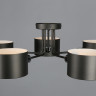 Потолочная люстра Omnilux Lisera OML-54507-05 - Потолочная люстра Omnilux Lisera OML-54507-05