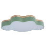 Потолочный светодиодный светильник Loft IT Axel 10005/30 green - Потолочный светодиодный светильник Loft IT Axel 10005/30 green