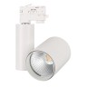 Светильник LGD-SHOP-4TR-R100-40W Cool SP7500-Fish (WH, 24 deg) (Arlight, IP20 Металл, 3 года) - Светильник LGD-SHOP-4TR-R100-40W Cool SP7500-Fish (WH, 24 deg) (Arlight, IP20 Металл, 3 года)