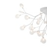Потолочный светильник Freya FR5049CL-36W1 - Потолочный светильник Freya FR5049CL-36W1