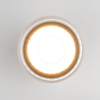  - Уличный светодиодный светильник Elektrostandard Light Led 35140/H черный 4690389177941