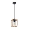 Подвесной светильник Arte Lamp Dublin A7025SP-1BK - Подвесной светильник Arte Lamp Dublin A7025SP-1BK